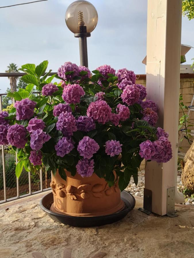 Bed and Breakfast la casa di Martina Zambrone Camera foto